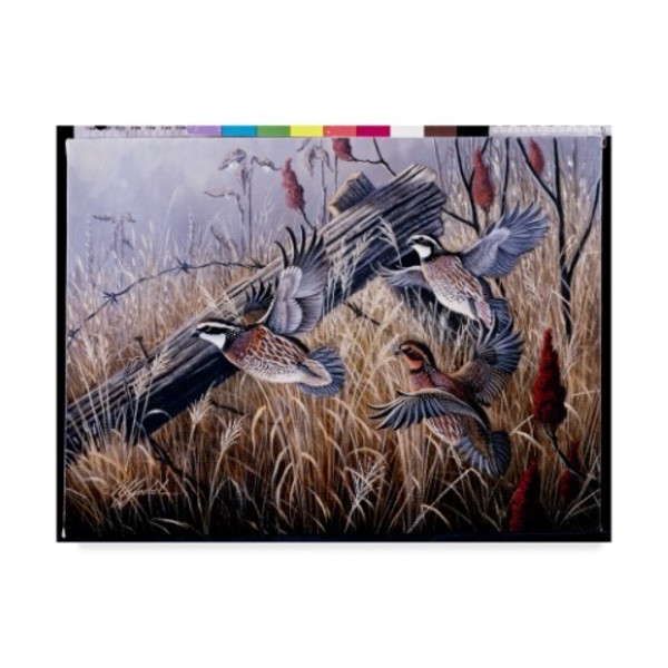 Trademark Fine Art Wilhelm Goebel 'Corner Post Covey Bobwhite' Canvas Art, 24x32 ALI33765-C2432GG